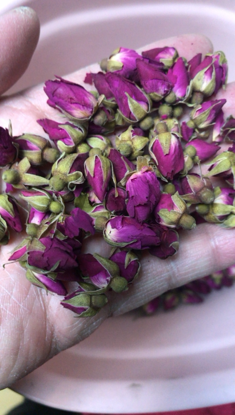 甘肃特产玫瑰花老百姓自己种植的农作物