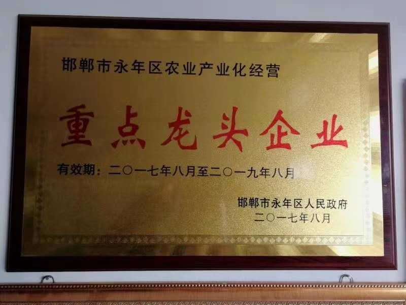 有机肥纯鸡粪发酵腐熟纯鸡粪有机肥肥料