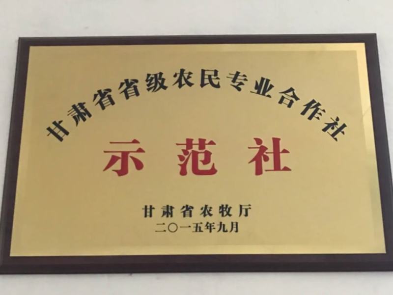 甘肃玉门苜蓿草种植，货源种植面积3万亩产地货源一手货源