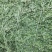 甘肃玉门苜蓿草种植，货源种植面积3万亩产地货源一手货源