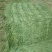 甘肃玉门苜蓿草种植，货源种植面积3万亩产地货源一手货源