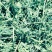甘肃玉门苜蓿草种植，货源种植面积3万亩产地货源一手货源