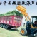 甘肃玉门苜蓿草种植，货源种植面积3万亩产地货源一手货源