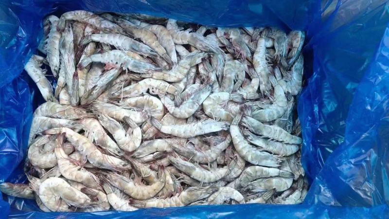 国产大虾质量好价格实惠性价比高净24斤装