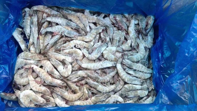 国产大虾质量好价格实惠性价比高净24斤装