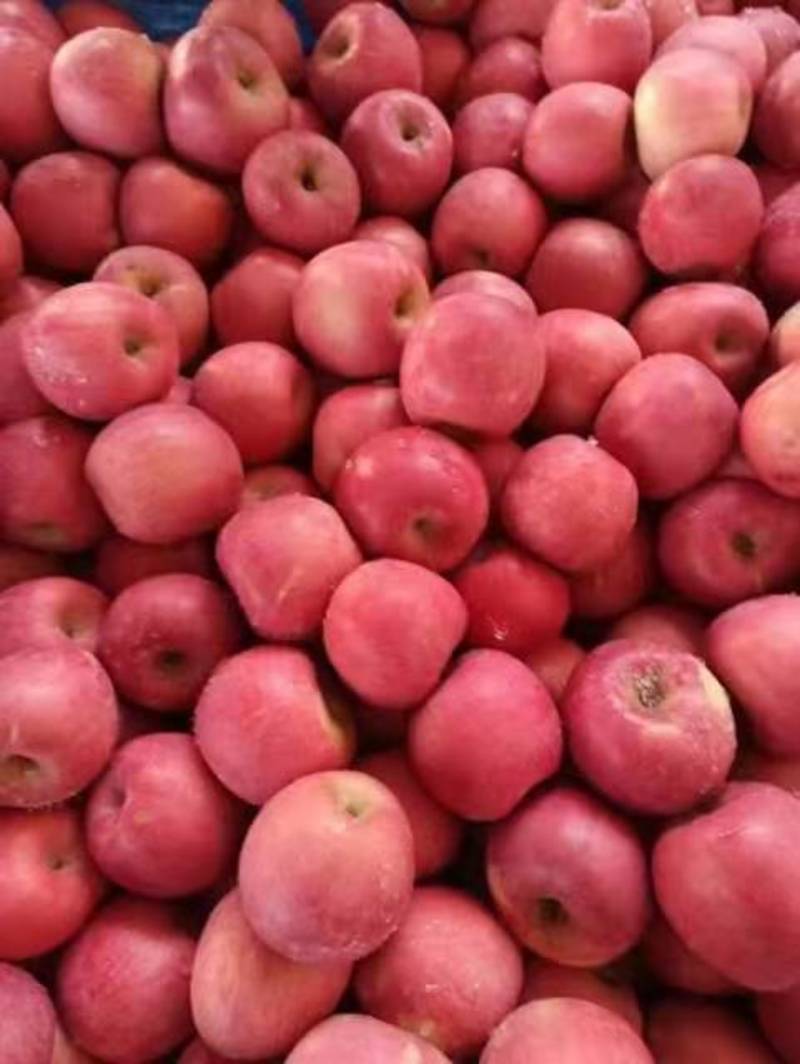山东红富士苹果，一手货源，保质保量，量大从优
