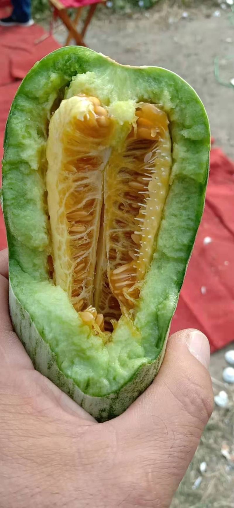 精品羊角蜜甜瓜山东潍坊羊角蜜种植基地供应电商、批发