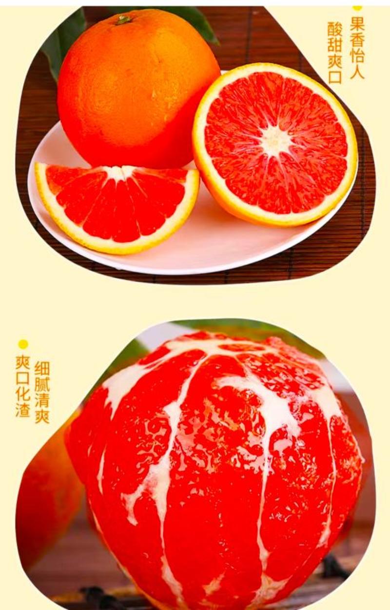 正宗四川塔罗科血橙当季节水果爆甜多汁爽口整箱包邮