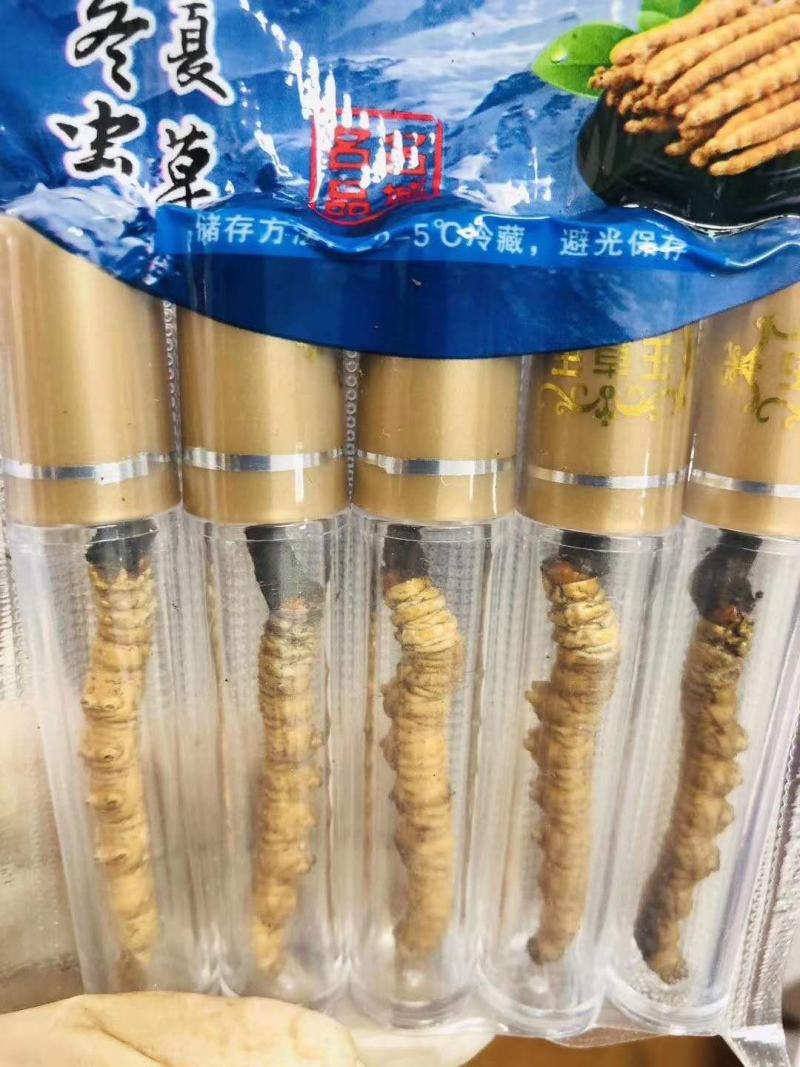 冬虫夏草玉树产，礼盒包装，一件代发，全国包邮，量大从优！