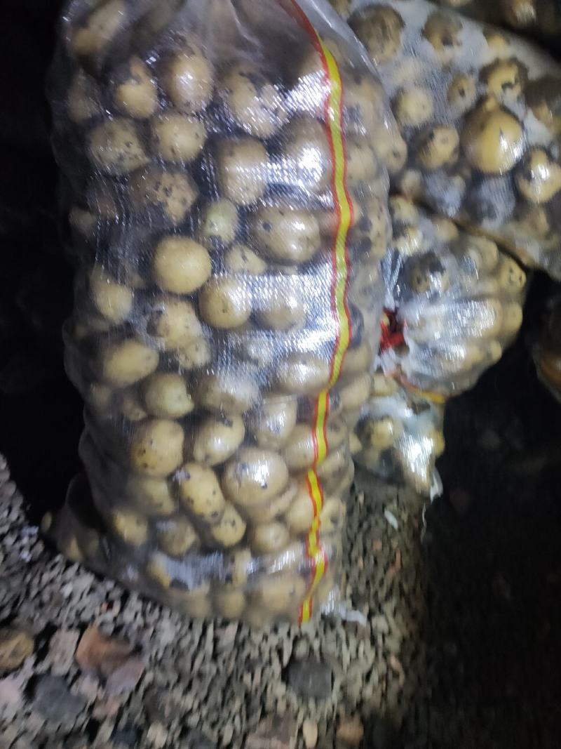 小薯123两，种类齐全，黄皮黄心，可以干洗,尤金，兴佳…