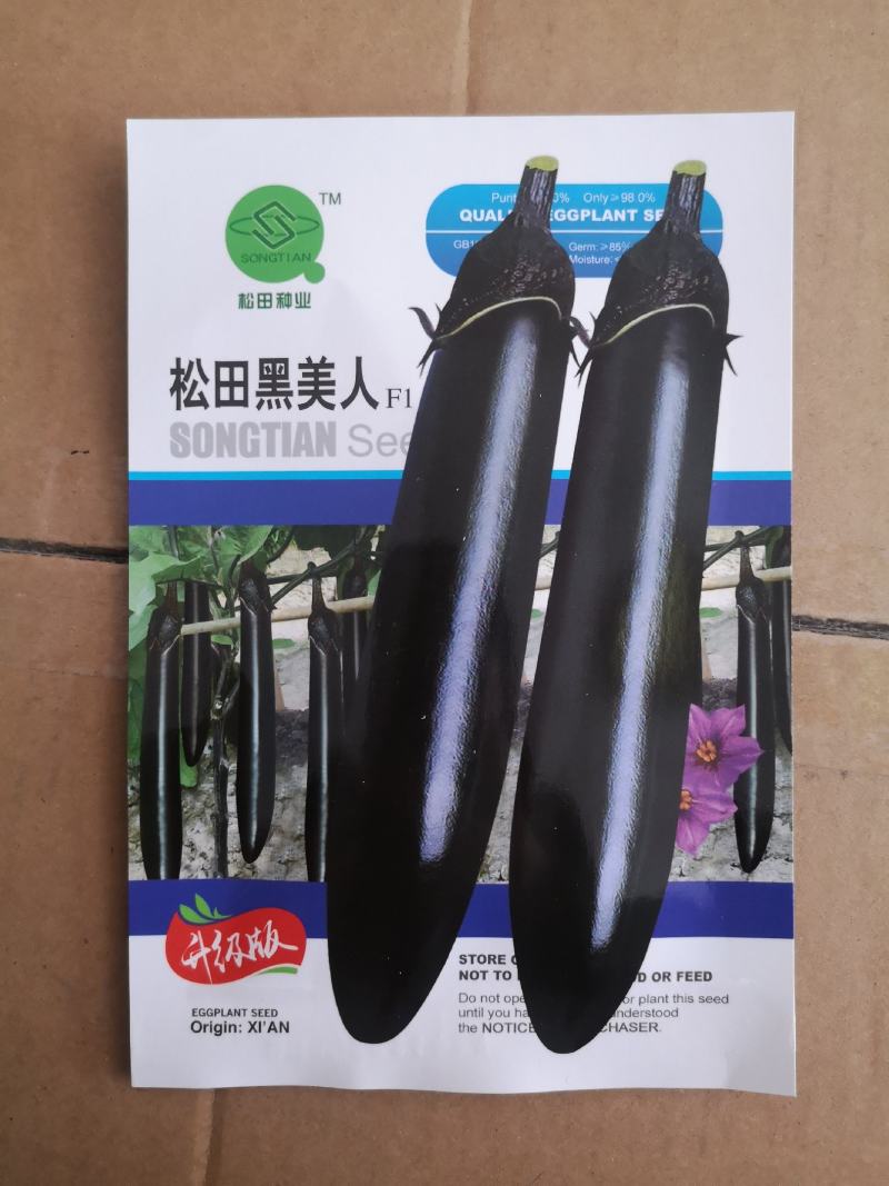 绿茄子种子绿茄果大肉嫩，色绿抗病商品性好10克
