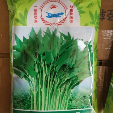空心菜种子大叶空心菜种子柳叶空心菜种子抗逆性强