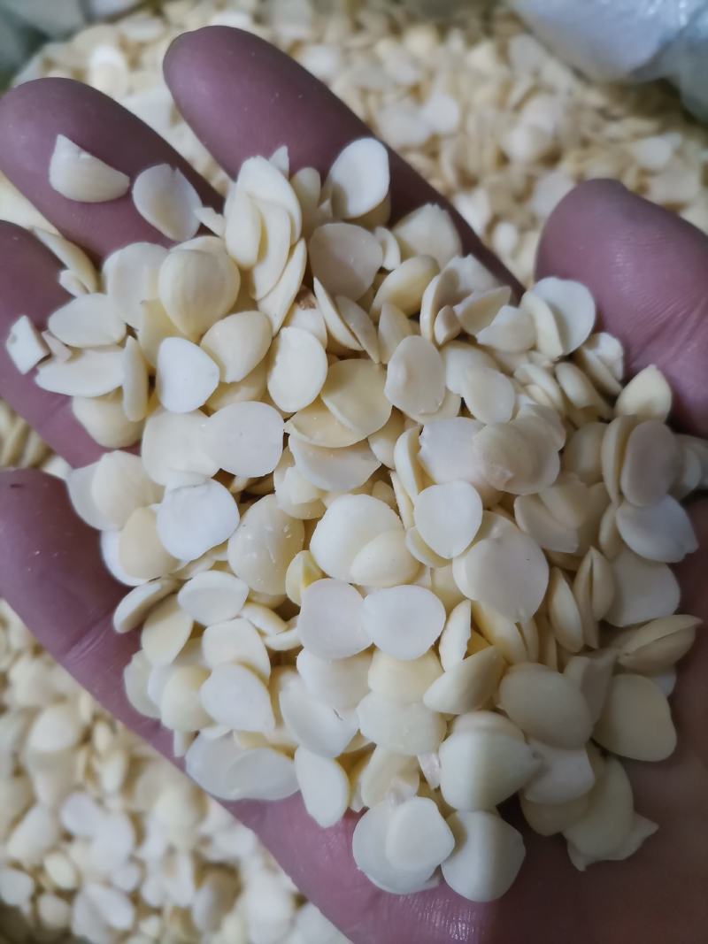 苦杏仁正品干货质量保证（生，炒）