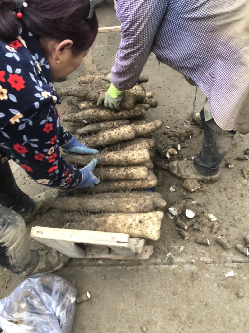 二郎山老山药、绵山药、不黏汤