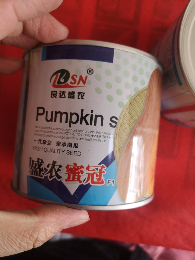 蜜本南瓜种子香甜早熟高产南瓜种籽品质好