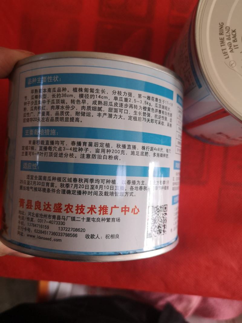 蜜本南瓜种子香甜早熟高产南瓜种籽品质好