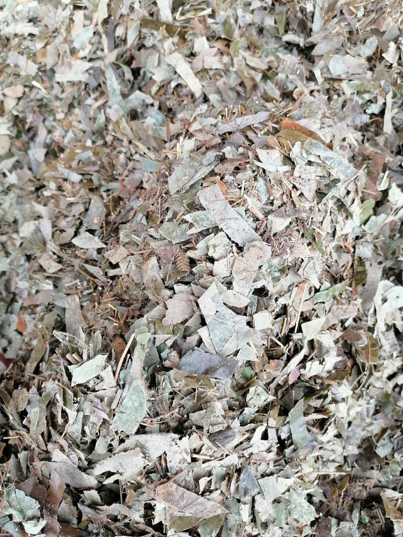 淫羊藿，羊角叶，仙灵脾，干货，切段，不带头