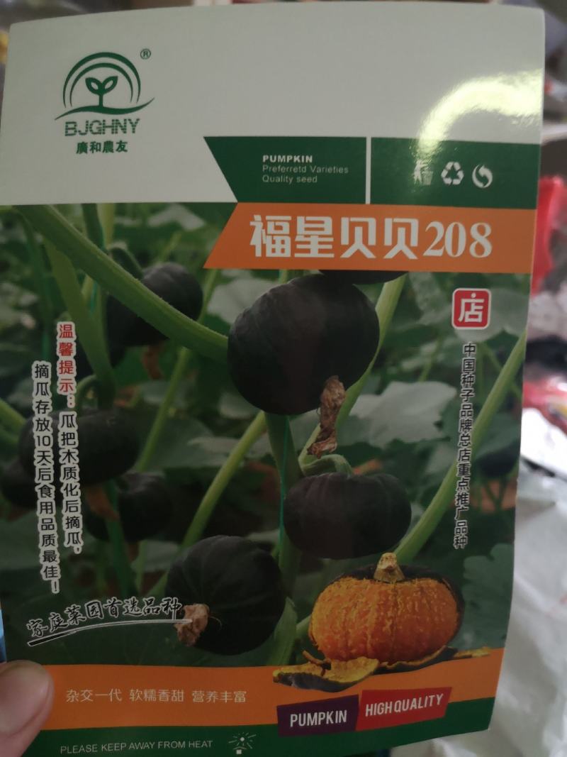 【】贝贝南瓜种子，南瓜种子南瓜种子口感好