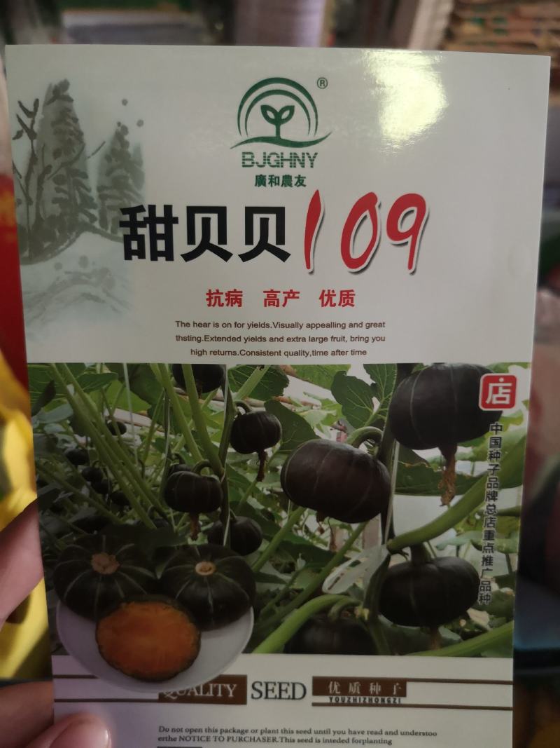 【】贝贝南瓜种子，南瓜种子南瓜种子口感好