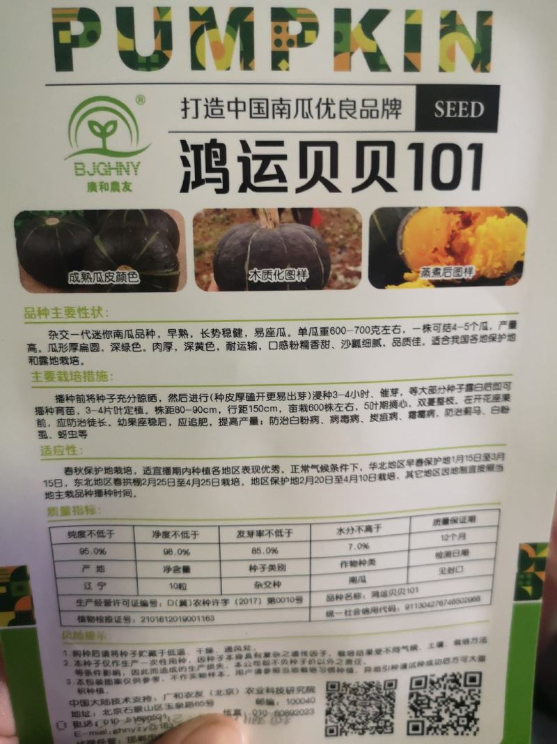 【】贝贝南瓜种子，南瓜种子南瓜种子口感好
