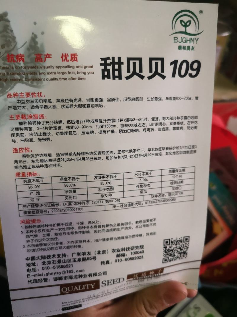 【】贝贝南瓜种子，南瓜种子南瓜种子口感好