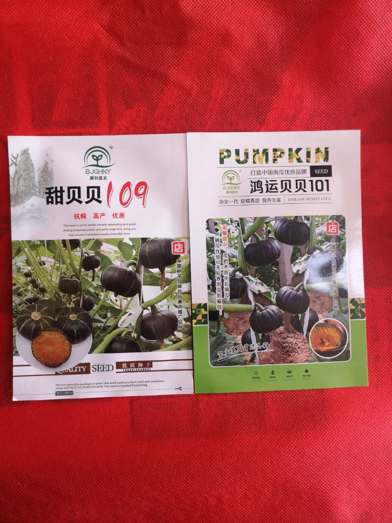 【】贝贝南瓜种子，南瓜种子南瓜种子口感好