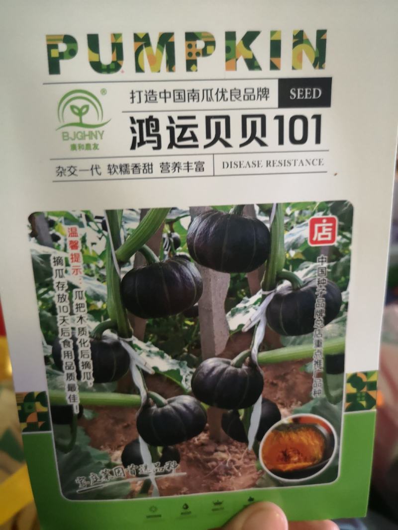 【】贝贝南瓜种子，南瓜种子南瓜种子口感好