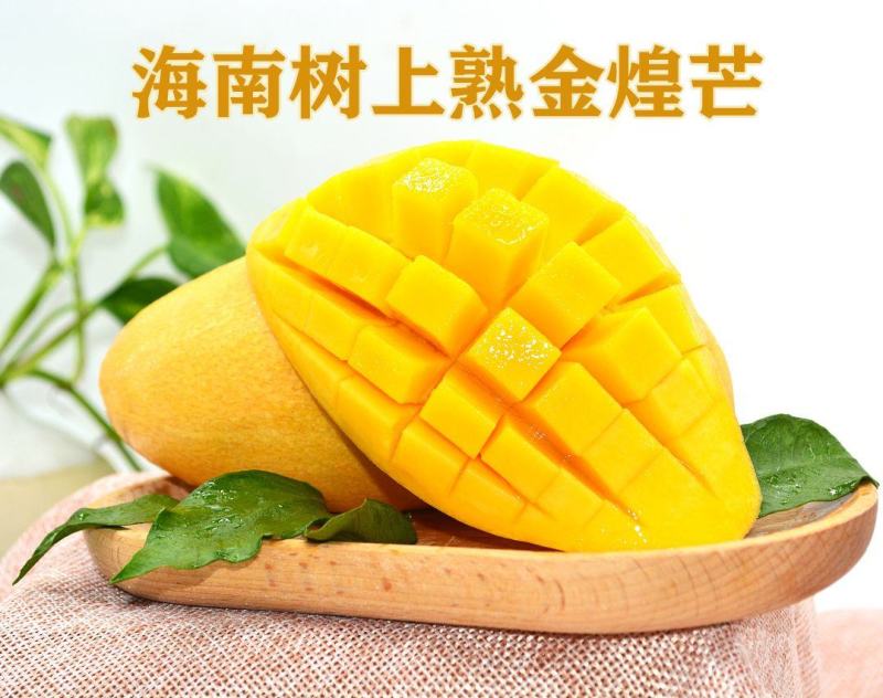 京东包邮-海南树上熟金煌芒，精品金煌芒，净重8斤