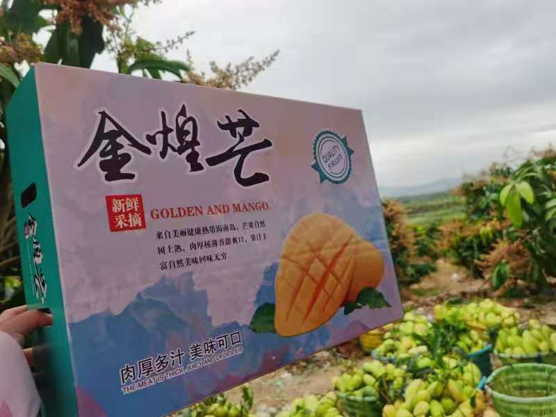 京东包邮-海南树上熟金煌芒，精品金煌芒，净重8斤