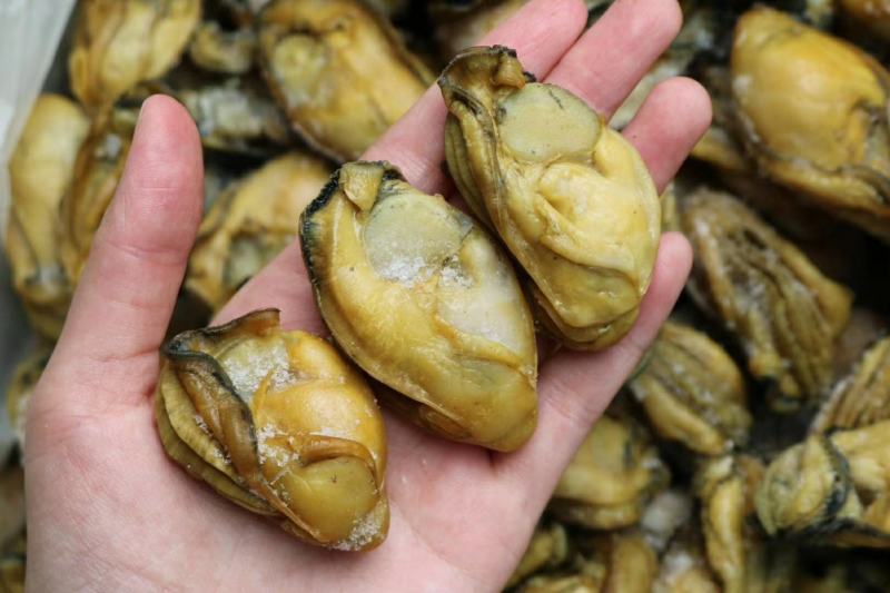40头【台山金蚝】海鲜干货生晒饱满批发零售量大优惠