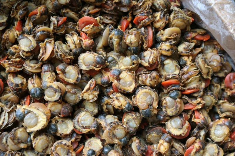 180头全贝干扇贝肉干干贝瑶柱海鲜水产干货批发优惠