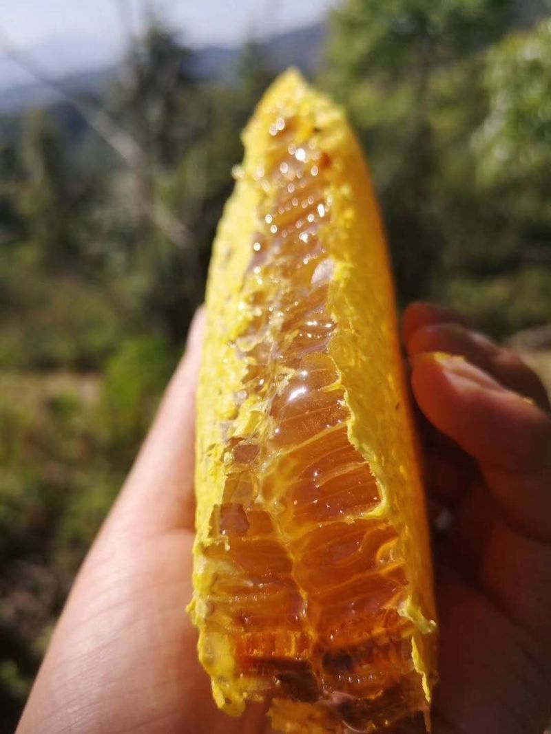 野蜂蜜，来自云南丽江老君山野生蜂蜜！蜜蜂采百花而得。