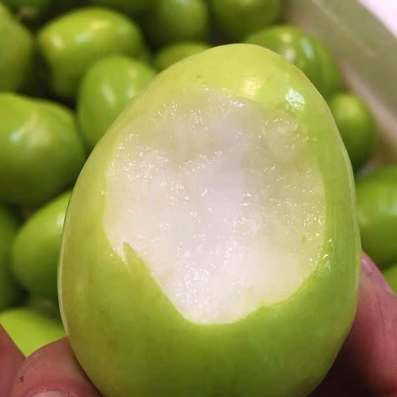 新鲜青枣，现摘牛奶枣大青枣水果包邮新鲜贵妃枣，包邮到家！