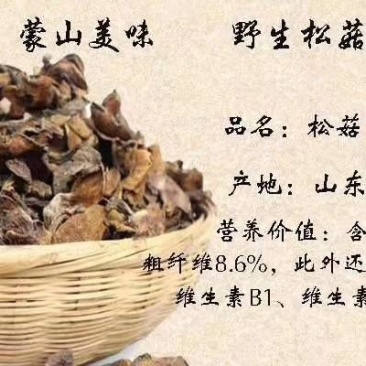 正宗蒙山松菇，俗称山蛾子，数量有限营养美味先到先得