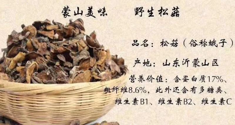 正宗蒙山松菇，俗称山蛾子，数量有限营养美味先到先得