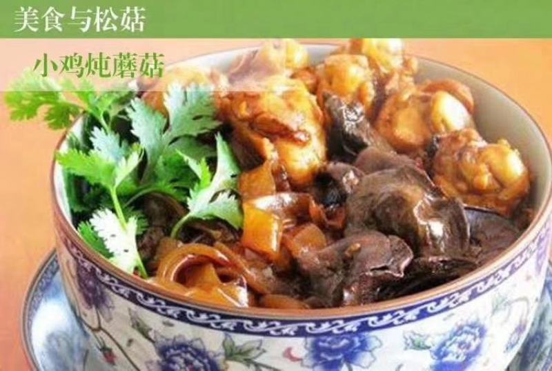 正宗蒙山松菇，俗称山蛾子，数量有限营养美味先到先得
