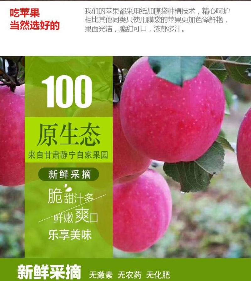 苹果红富士苹果静宁苹果有机红富士苹果地方特别
