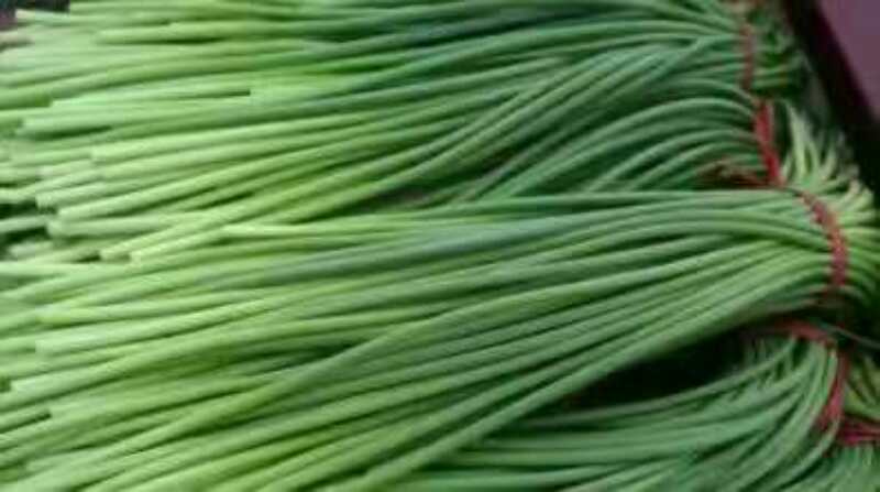 白帽蒜薹50~60厘米山东省临沂市沂水县大量供应