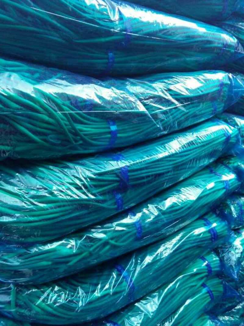 白帽蒜薹50~60厘米山东省临沂市沂水县大量供应