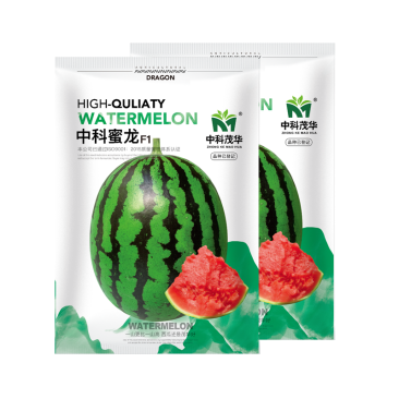 中科蜜龙西瓜种子，大红瓤口感好，脆甜多汁