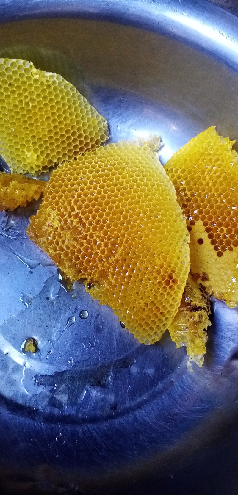 百花蜜四川凉山高海拔野生百花蜜土蜂蜜蜂蜜