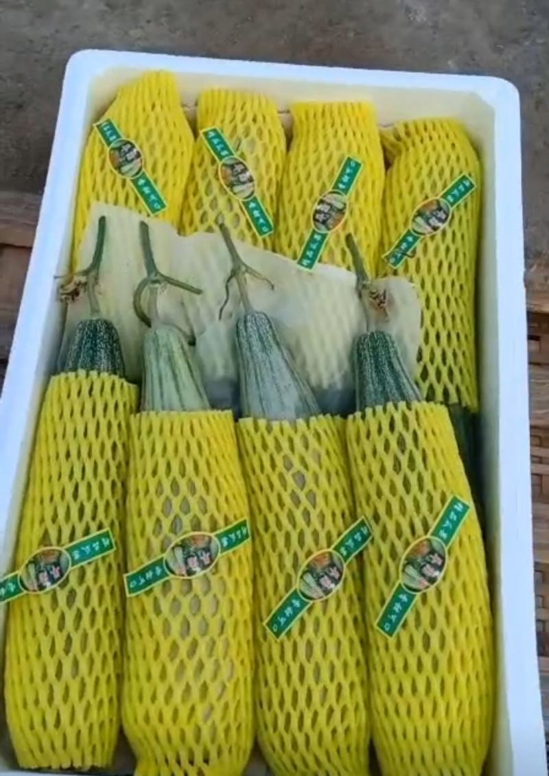 精品羊角蜜甜瓜山东潍坊羊角蜜种植基地供应电商、批发