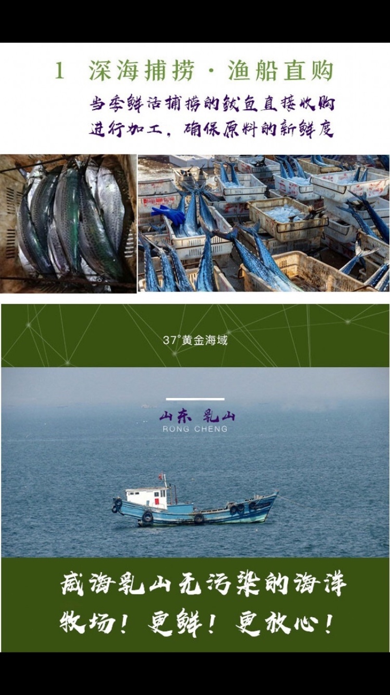 鲅鱼馅胶东特色水饺专用承接OEM代工招代理
