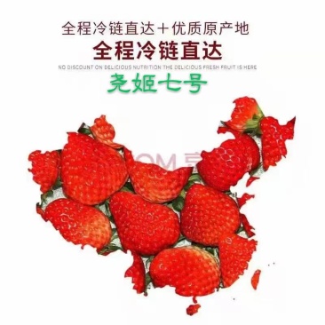 尧姬七号甜草莓红颜九九草莓