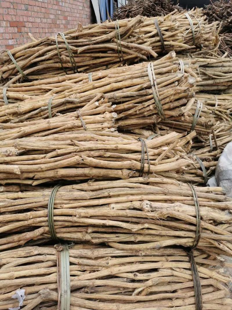 大量收贵州木通干货鲜货