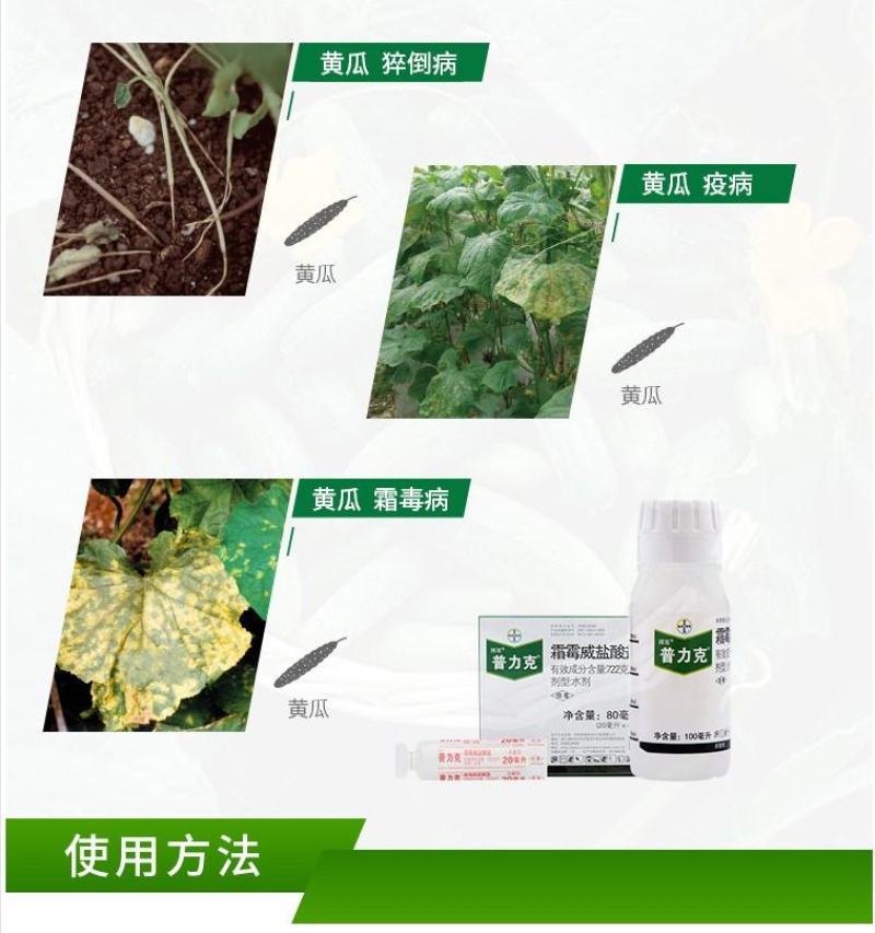 德国拜耳普力克霜霉威盐酸盐霜霉病疫病猝倒病杀菌剂