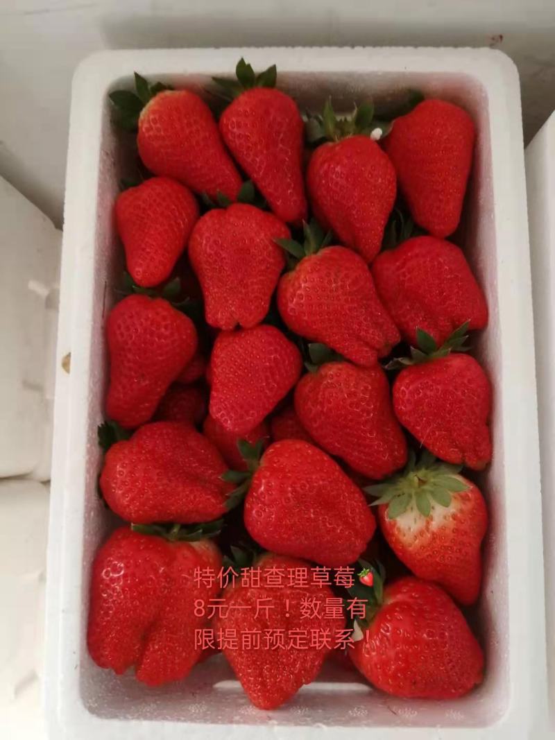甜查理草莓大量供应！质量很好！货源紧张！提前预定联系