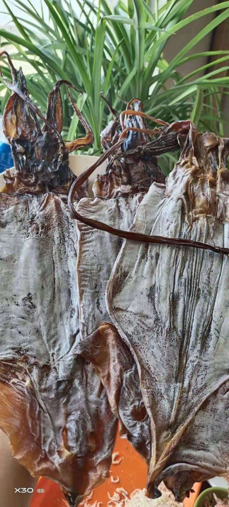 墨鱼干微盐，真空包装5.6成干！产地直销一手货源