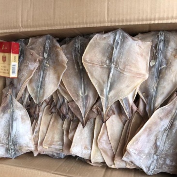 鱿鱼耳鱿鱼须鱿鱼片鱿鱼花