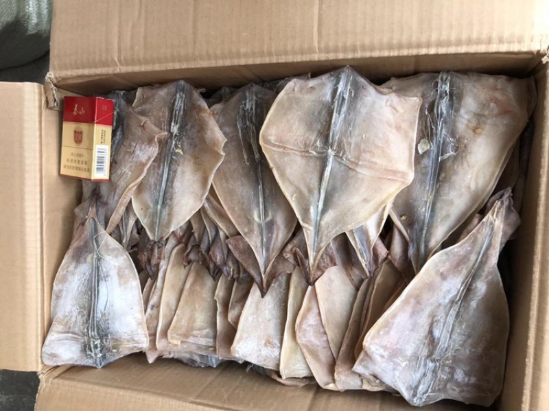 鱿鱼耳鱿鱼须鱿鱼片鱿鱼花